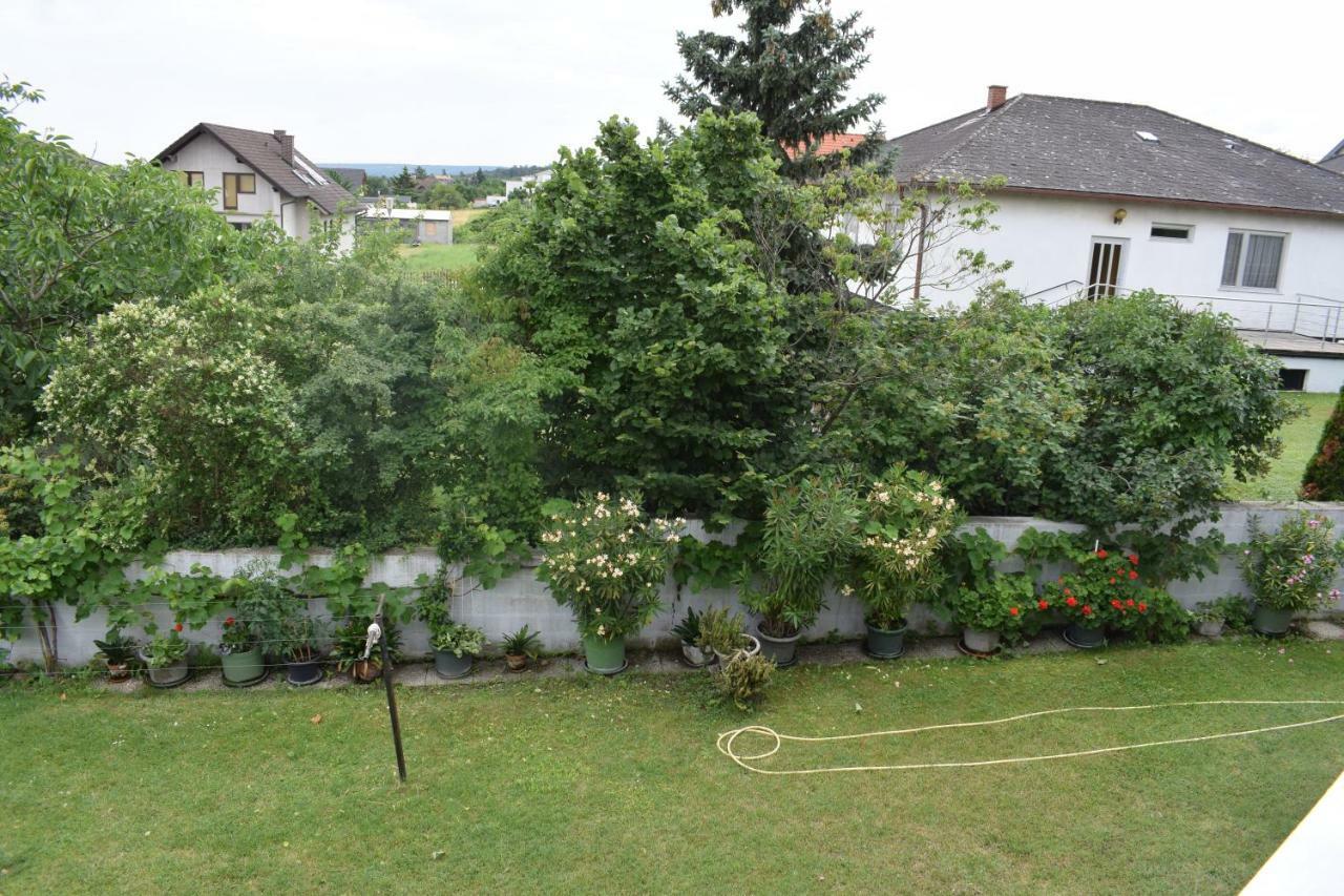 Pension Weinberg Mörbisch am See Exteriér fotografie